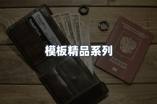 模板精品系列